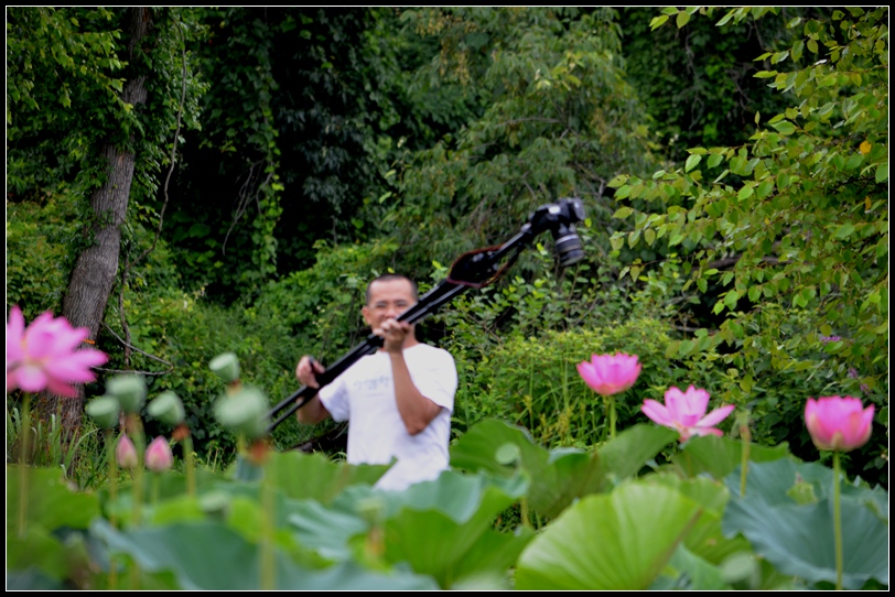 2013-2-2 Flowers 523_.jpg