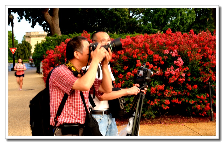 2013-2-2 Flowers 154_.jpg