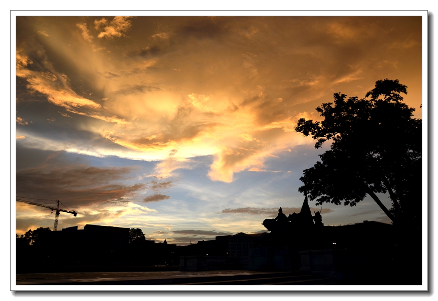 2013-2-2 Flowers 192_.jpg