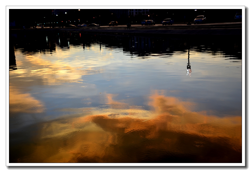 2013-2-2 Flowers 213_.jpg