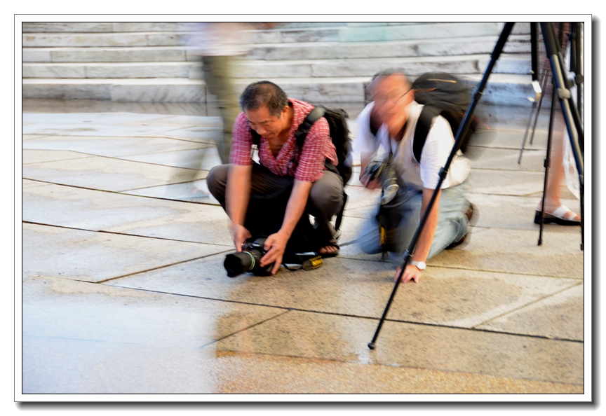 2013-2-2 Flowers 173_.jpg