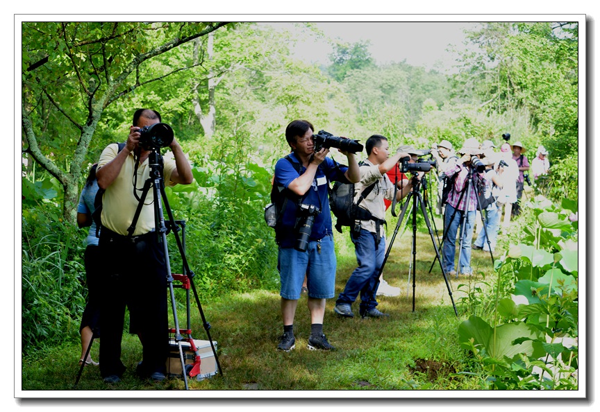 2013-2-2 Flowers 599_.jpg