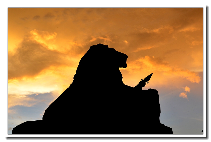 2013-2-2 Flowers 200_.jpg