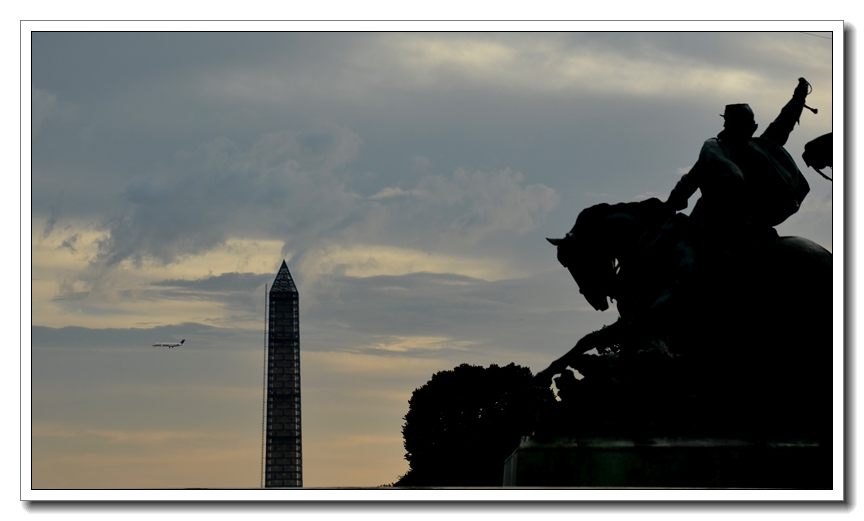 2013-2-2 Flowers 110_.jpg