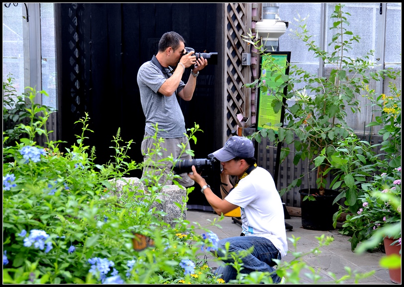 2013-2-2 Flowers 611_.jpg