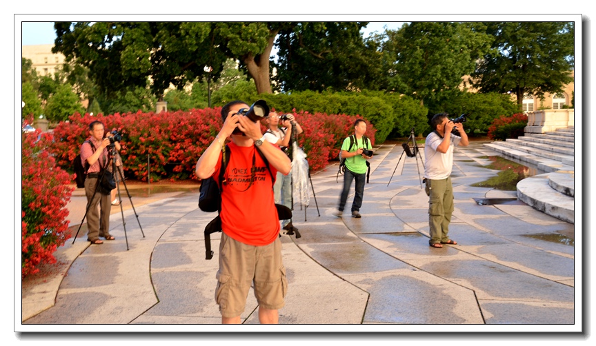 2013-2-2 Flowers 193_.jpg