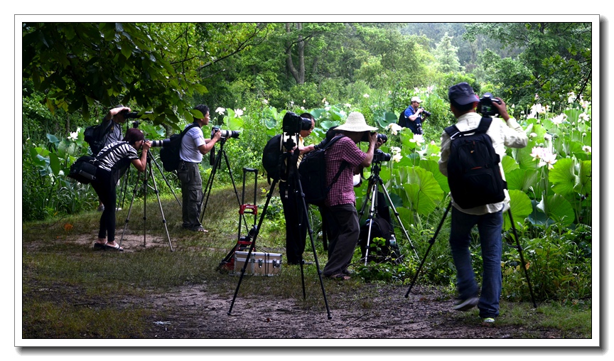 2013-2-2 Flowers 259_����.jpg