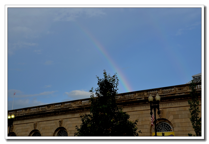 2013-2-2 Flowers 094_.jpg