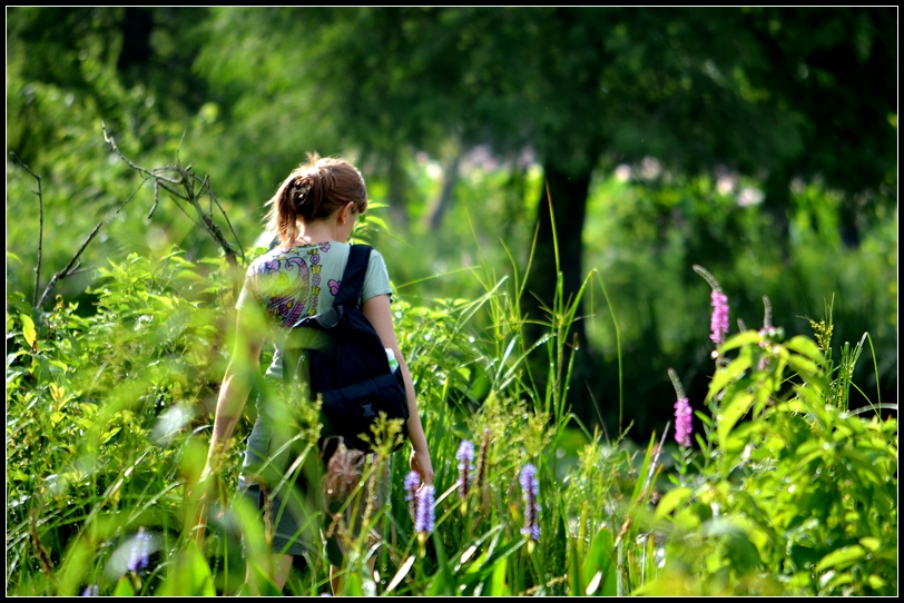 2013-2-2 Flowers 559_.jpg