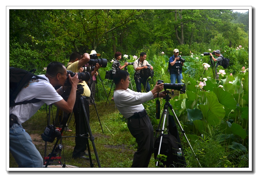 2013-2-2 Flowers 267_.jpg