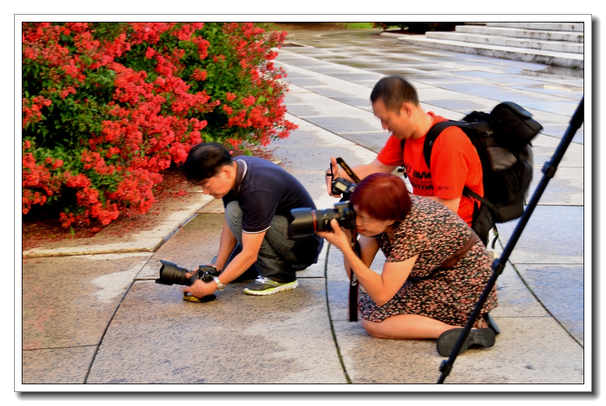 2013-2-2 Flowers 182_.jpg