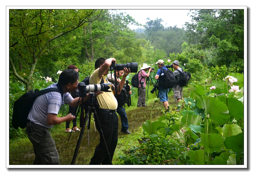 2013-2-2 Flowers 271_.jpg