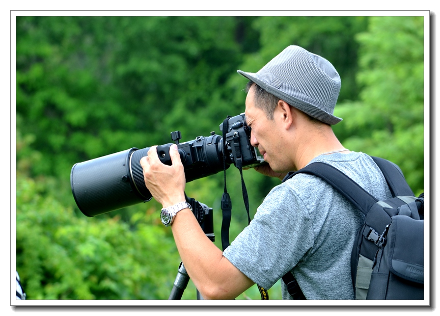 2013-2-2 Flowers 444_.jpg