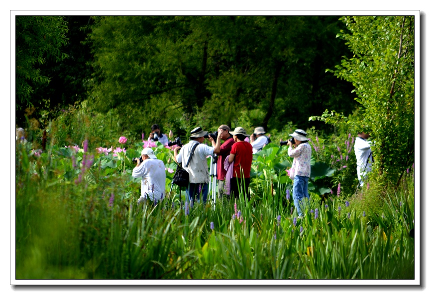 2013-2-2 Flowers 555__.jpg
