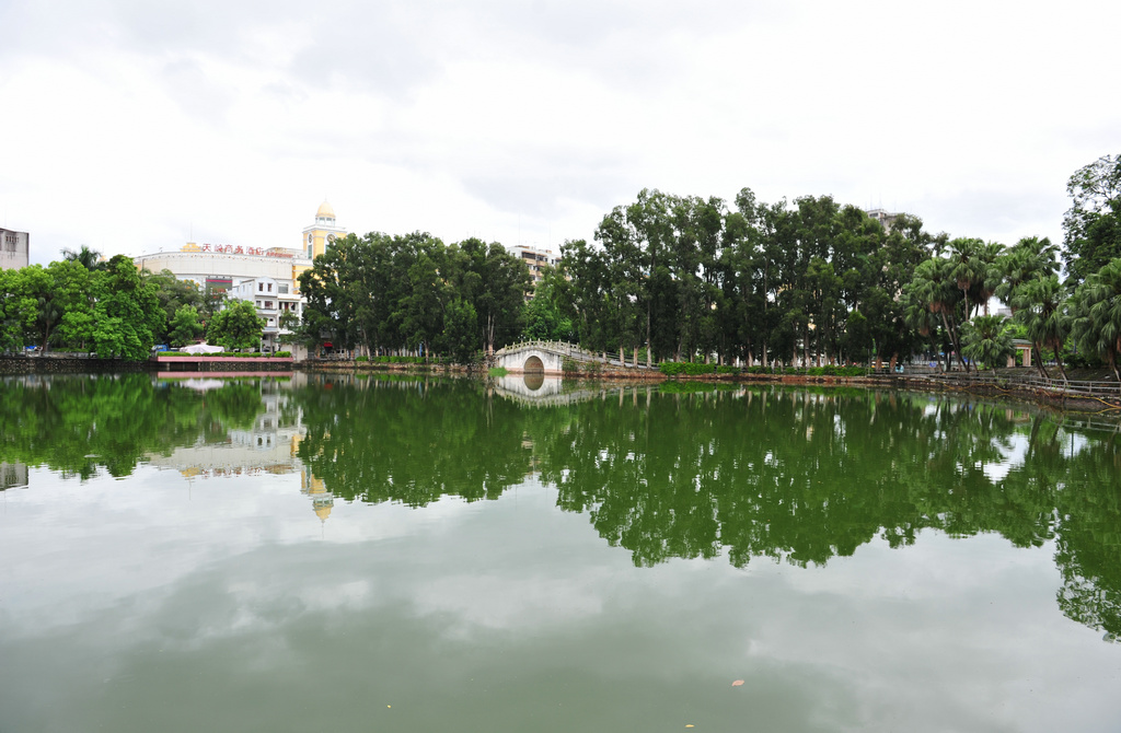 DSC_9110.JPG