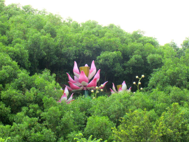 IMG_2980_.jpg