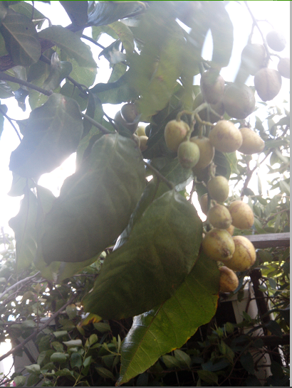 QQͼ20130703211610.png