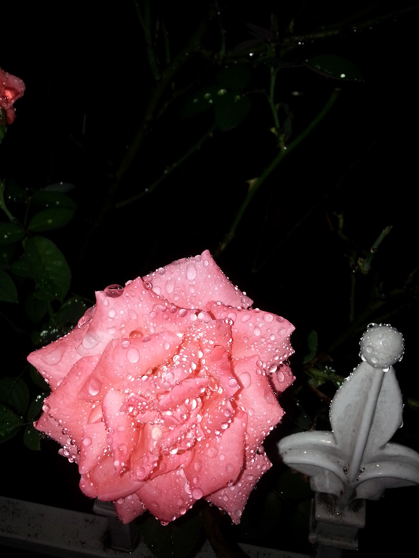 20130712_213525.jpg