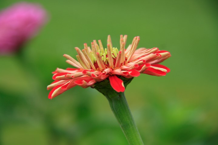 _MG_8176 (Small).JPG