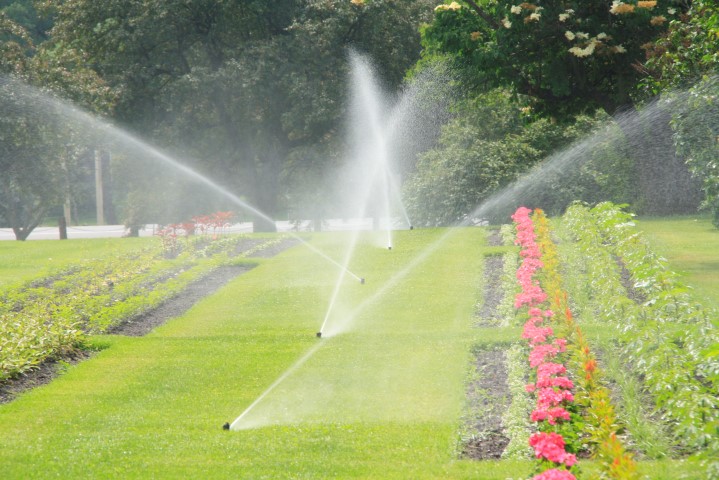 _MG_9235 (Small).JPG