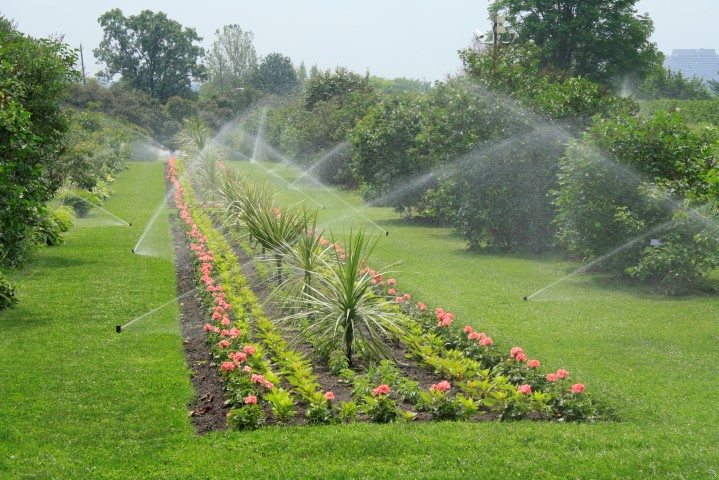 _MG_9241 (Small).JPG