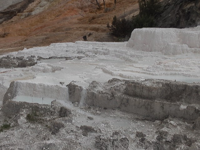 WP_001739.jpg
