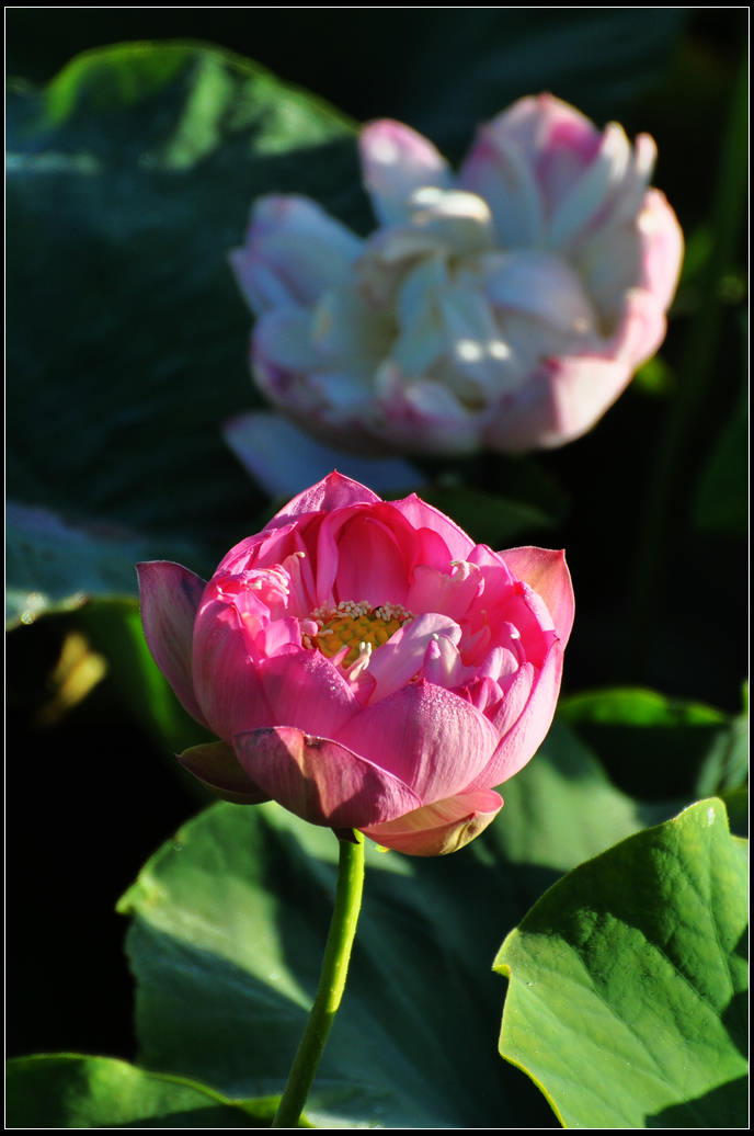 DSC_3634.jpg