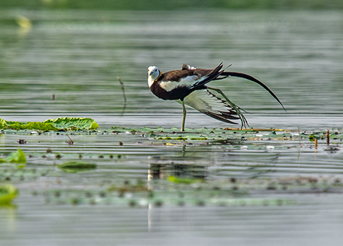 DSC_2328-.jpg