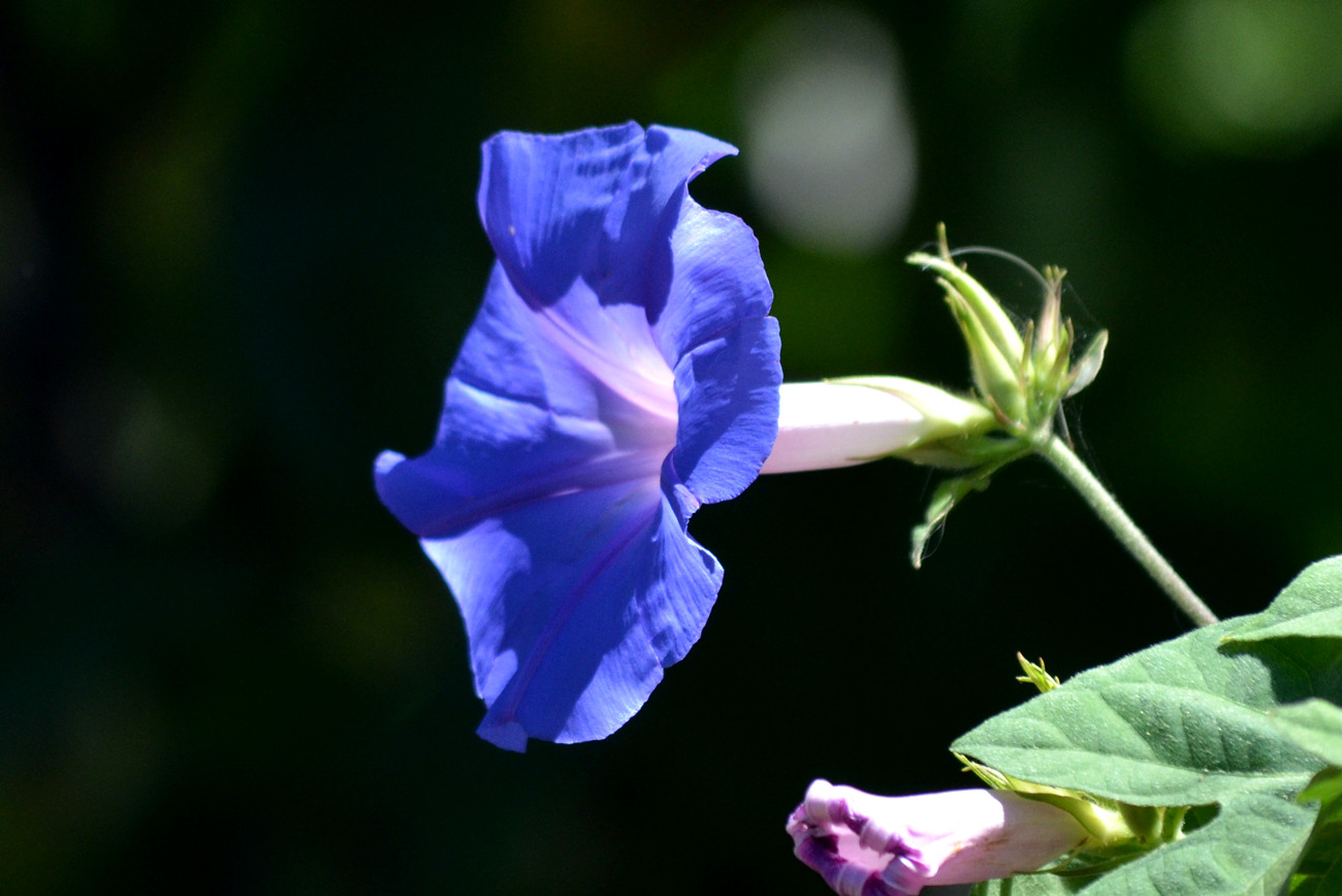 DSC_8401_7.jpg
