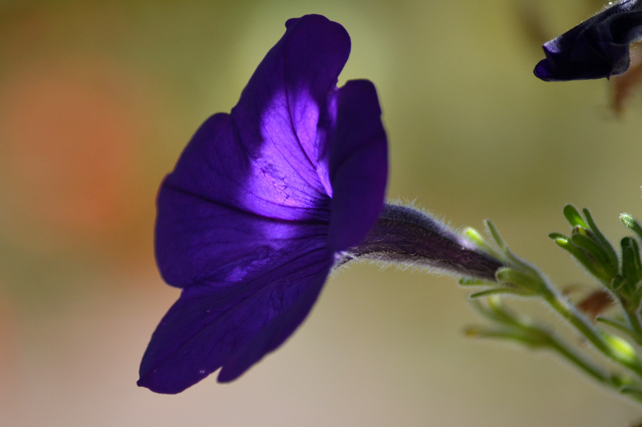 DSC_8479_4.jpg