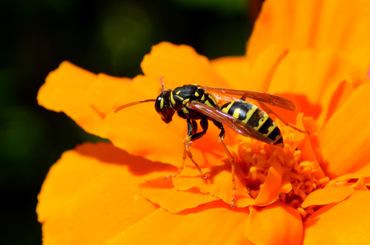 DSC_8792_19.jpg