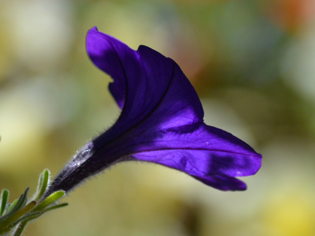 DSC_8470_3.jpg