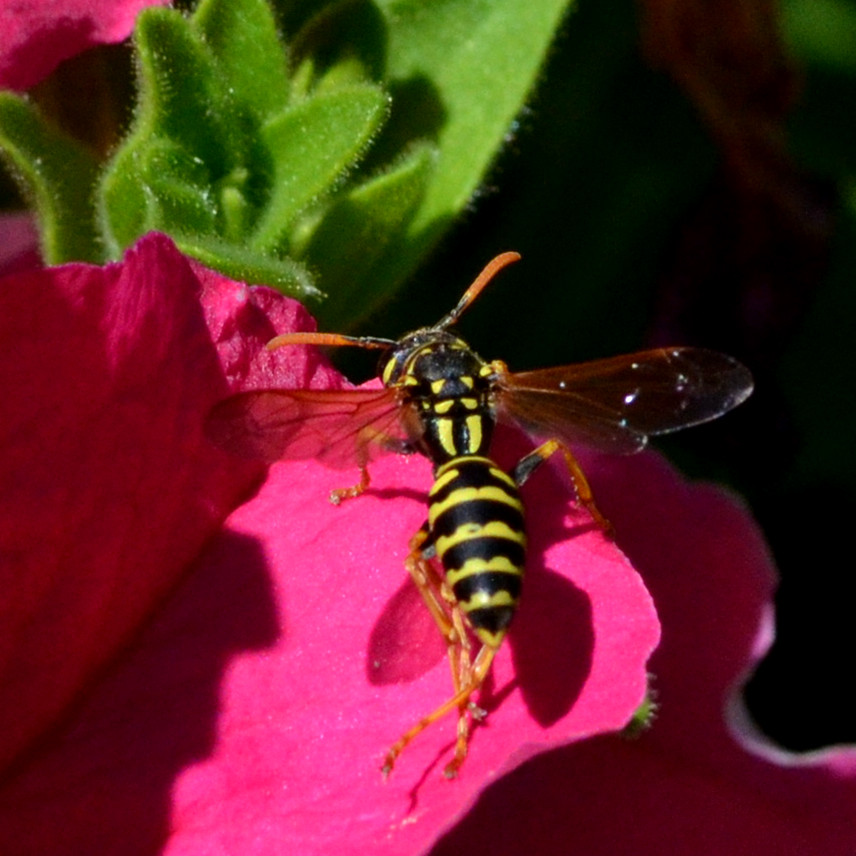 DSC_8746_11.jpg
