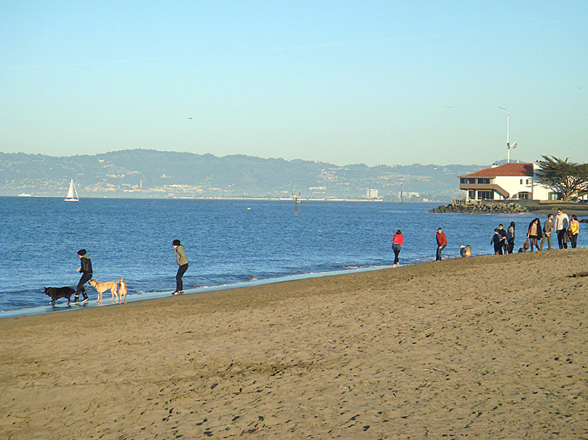 DSC02827_.jpg