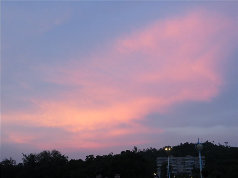 IMG_2747.jpg