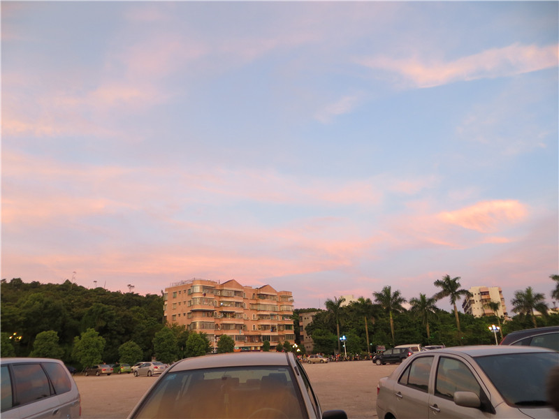 IMG_2497.jpg