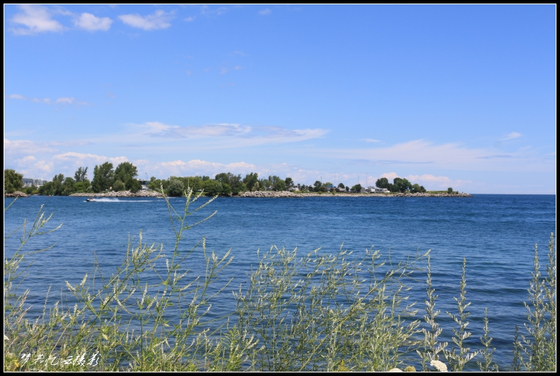 20130805 122_conew1.jpg