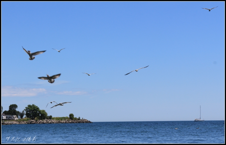 20130805 073_conew1.jpg