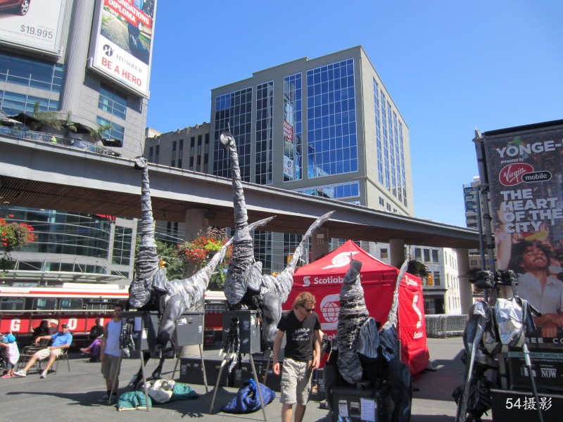conew_img_6247.jpg