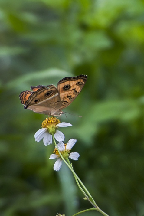 DSC_8215.jpg