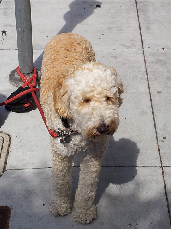 20130703_103747_.jpg