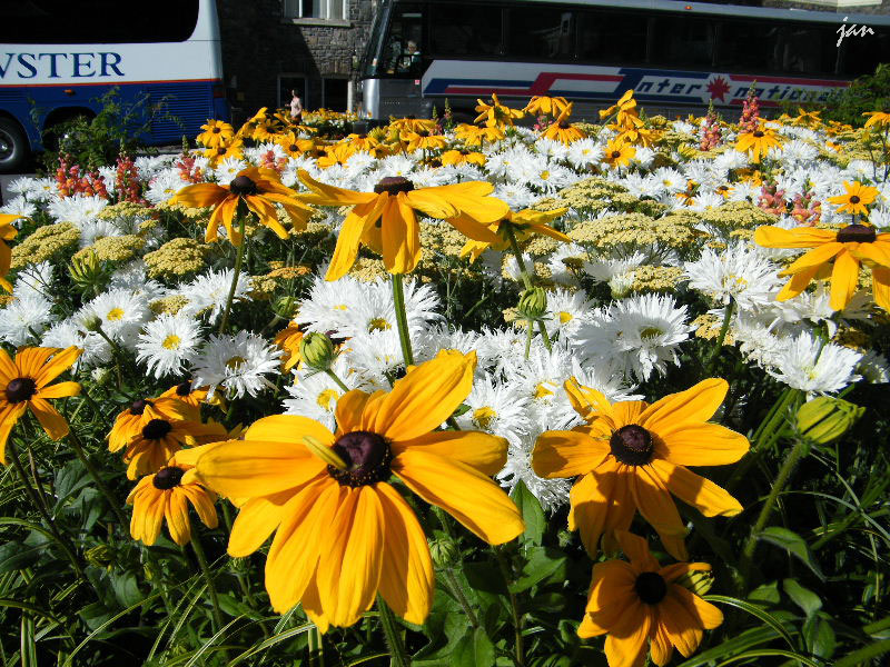 DSCF6664=.jpg