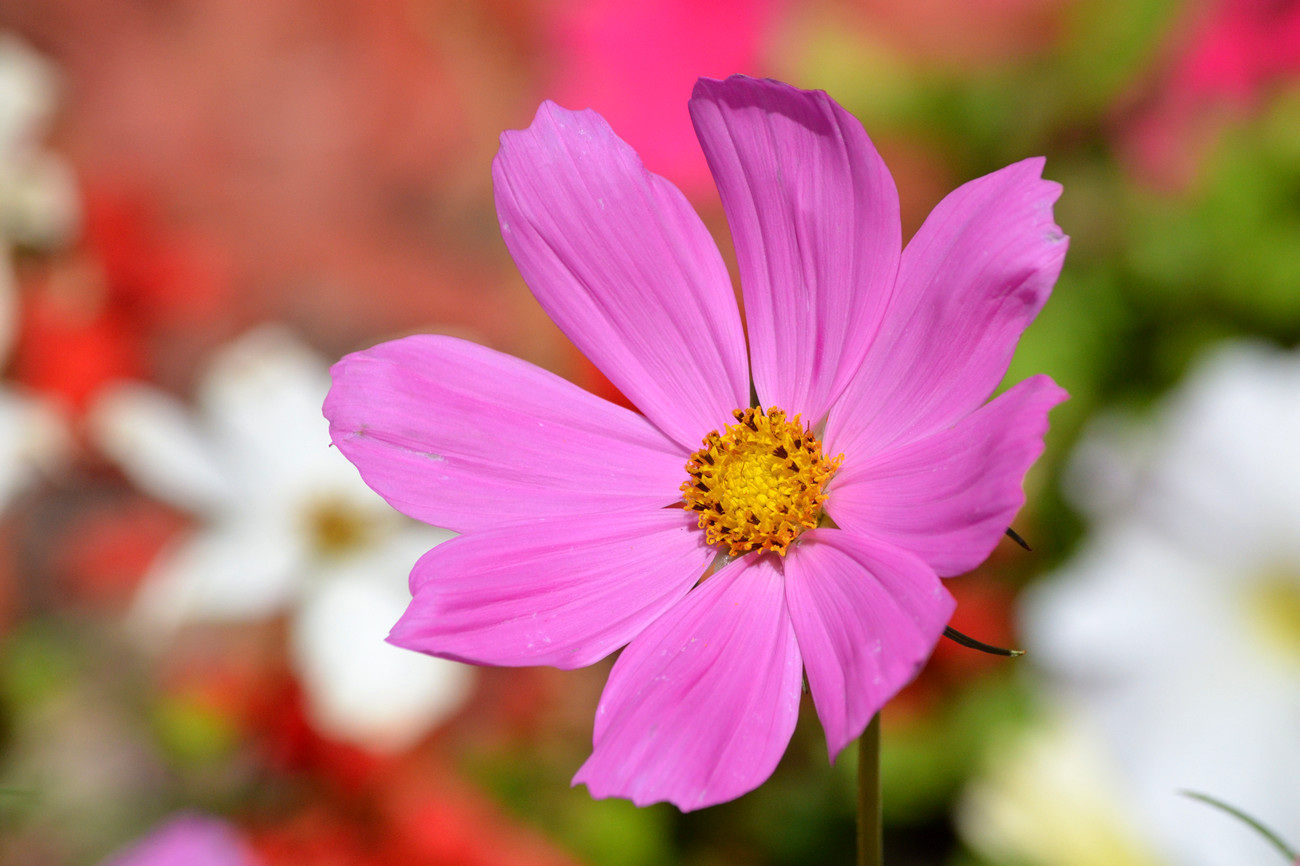 DSC_8353_12.jpg