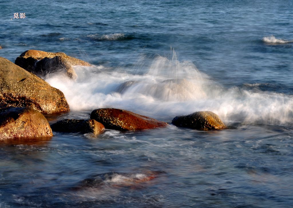 DSC_97584.jpg