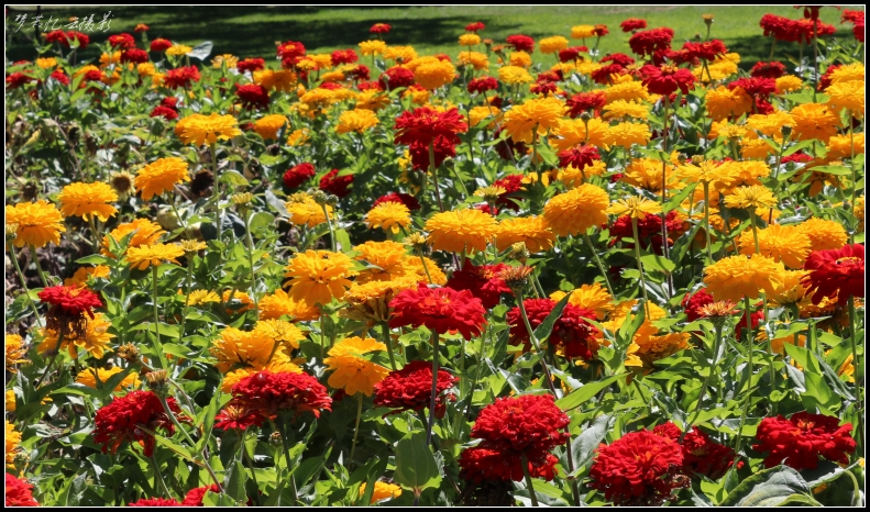 201308024 116_conew1.jpg