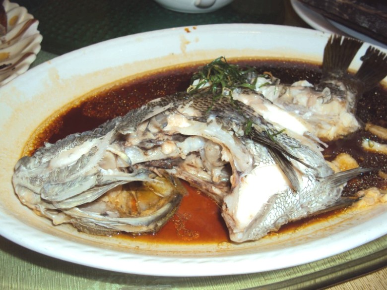 001_conew255.jpg