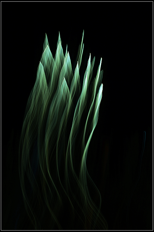 DSC_8798.JPG
