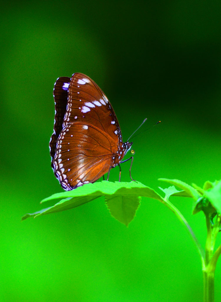 DSC_1762.jpg