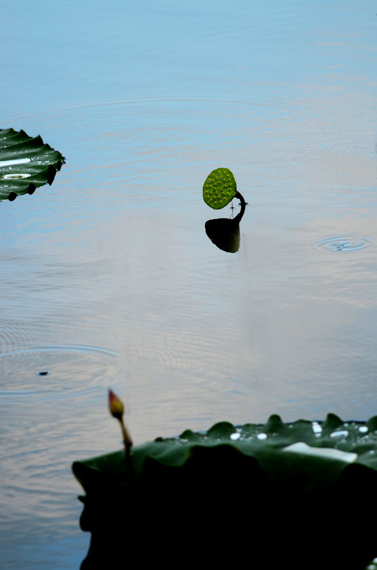 DSC_1494.jpg