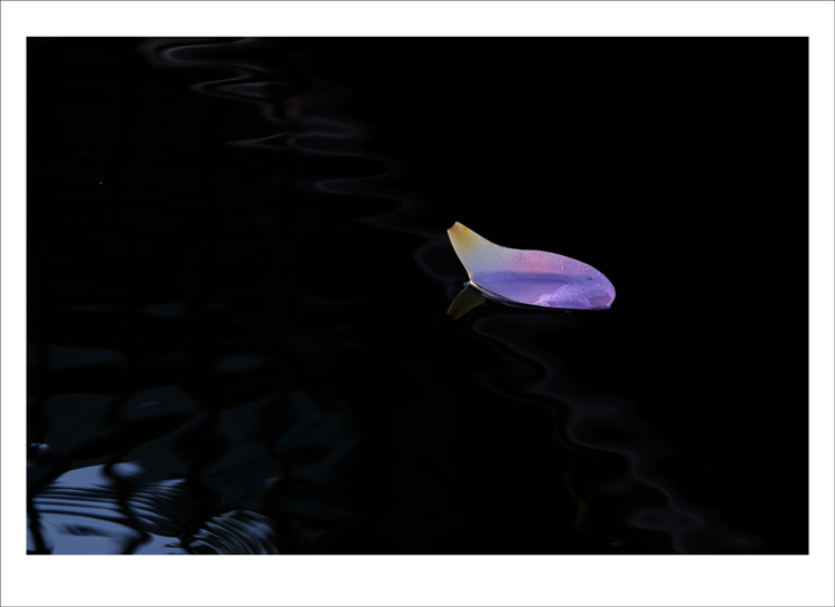 DSC_6847_conew1.jpg